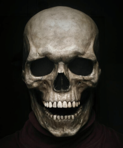 Full Head Skull With Movable Jaw